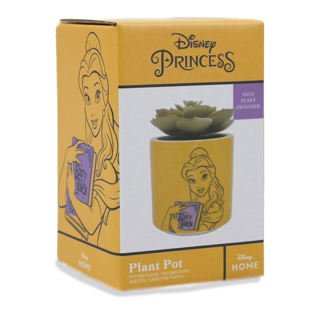 Disney Beauty and the Beast small plant pot for succulents