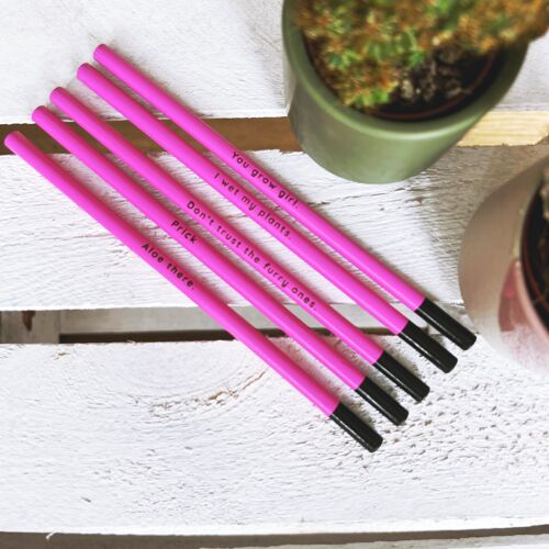 cheeky cactus themed pencils set of 5, playful pencils with cactus messages, ideal for school or gifting, comfortable for writing or sketching