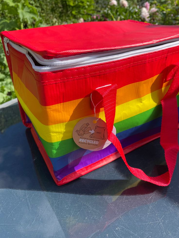 rainbow RPET picnic cool bag shown outdoors ready for a day out