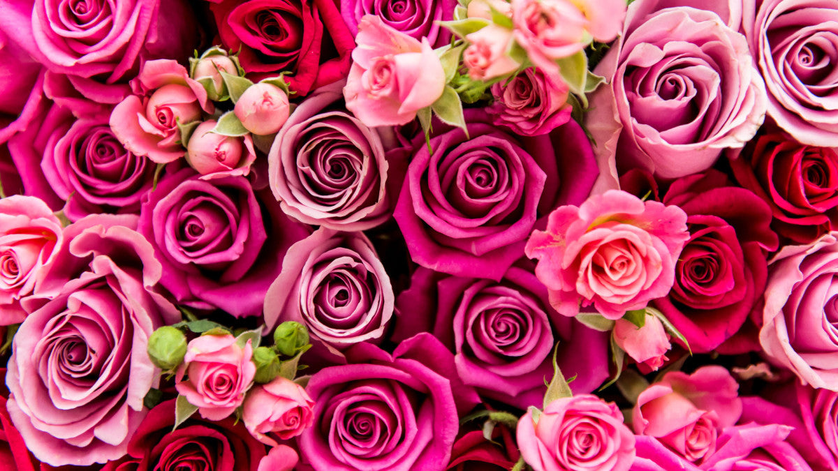 valentine’s day collection featuring thoughtful gifts cards and romantic treats for celebrating love