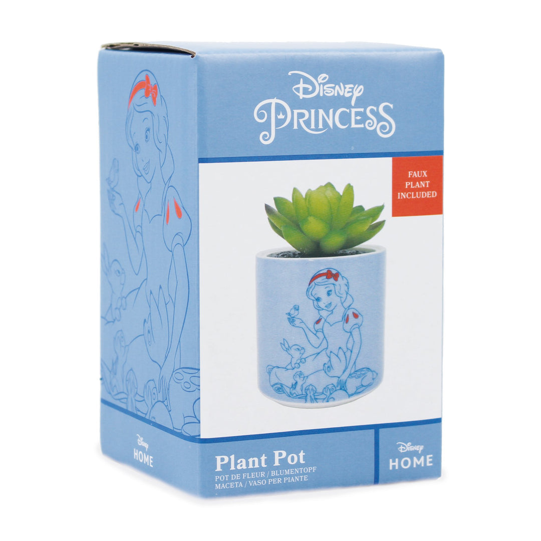 Disney Snow White faux plant pot boxed gift presentation