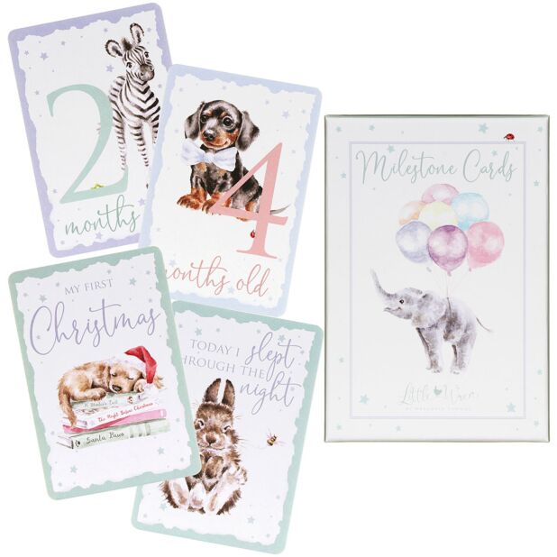 baby milestone and age cards set showing full collection laid out for first year baby memories