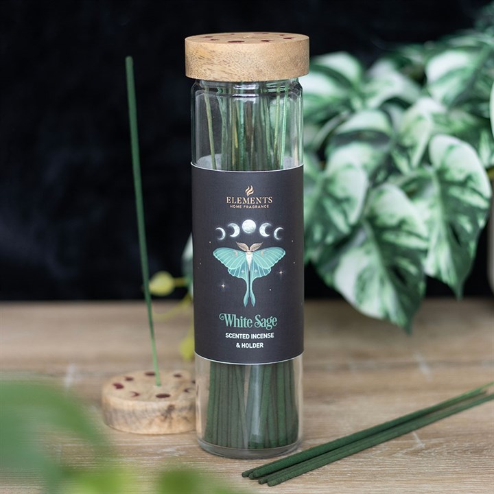 luna moth and moon phase incense tube with twenty white sage incense sticks and wooden lid holder