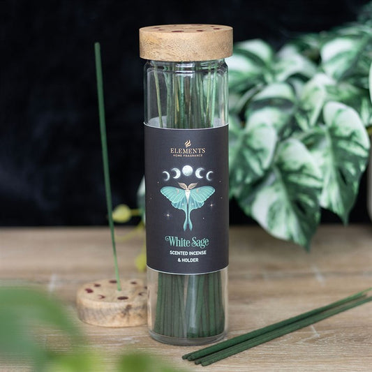 luna moth and moon phase incense tube with twenty white sage incense sticks and wooden lid holder