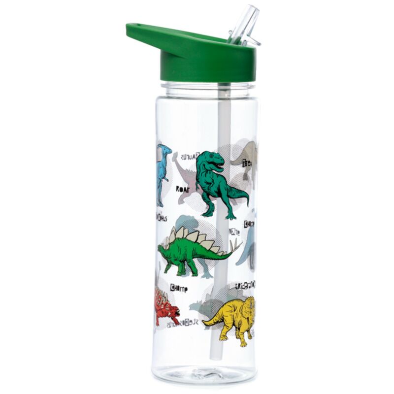 dinosaur shatterproof water bottle with flip straw and reusable 550ml design