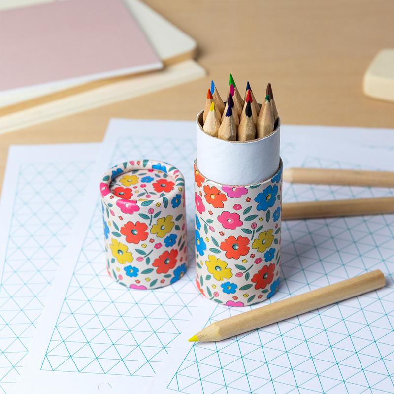 flower colouring pencils pot set of 12 floral stationery for children creative play