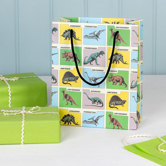 dinosaur gift bag with prehistoric land design, colourful illustrated dinosaurs with names, front view showing handles